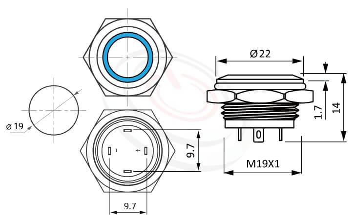 MP19T-4MF Series概略尺寸圖,標示極短款,LED照光金屬開關,平圓形,1NO一組常開接點,無極性,正反都可接的外型長度,薄、短,平圓型,一組常開接點1NO 防水、防塵、耐腐蝕,可對照J19,EJ19,pbm19,cmp,bpb,GQ19,LAS1-BGQ,LAS1-AGQ,LAS1GQ,mp19n,ft-19,lb19b,MPB19,MPS19,MW19,HK19B,HKYB19B,qn19,平鈕,材質-不鏽鋼SUS,金屬外殼